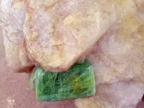 图片5_副本.jpg