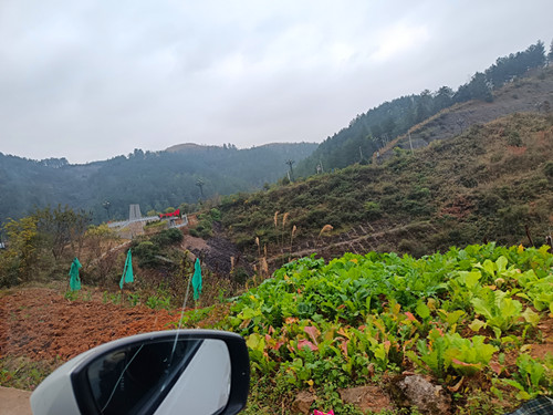 IMG_20251217_135008_副本.jpg